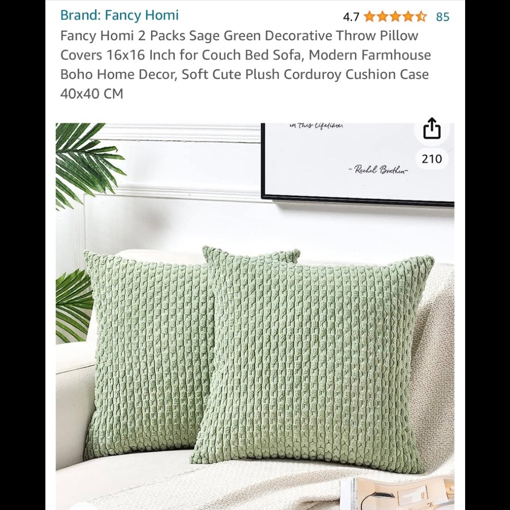 Two Throw pillow covers